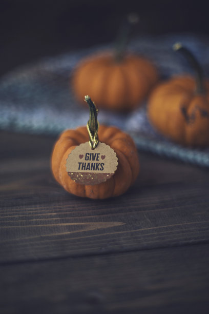 感恩节的静物与小南瓜和感谢的信息素材图片