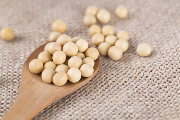 木勺上放着大豆。图片下载
