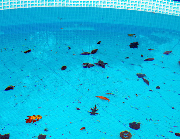 夏天的结束图片下载