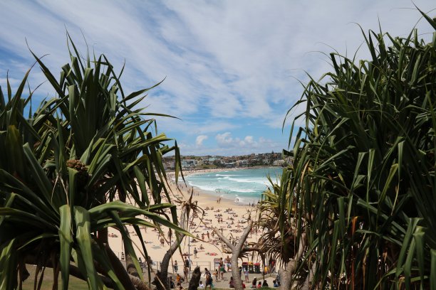 在夏季的悉尼邦迪海滩度假，澳大利亚新南威尔士州图片下载