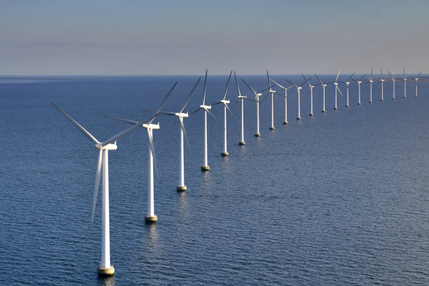 可再生能源植物素材图片