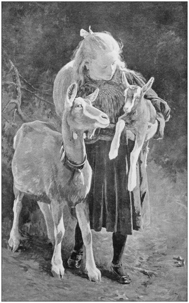 古董画照片:女孩图片下载