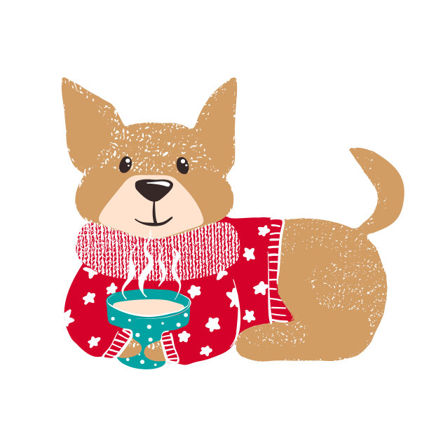 可爱的狗在温暖的冬天毛衣。图片下载