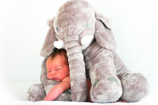 新生儿与毛绒大象图片下载