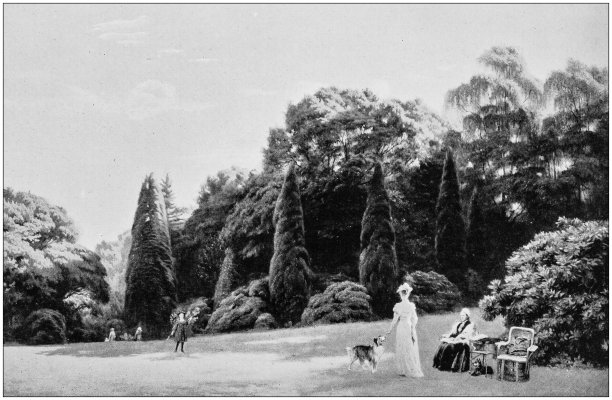 古董绘画照片:风景图片下载