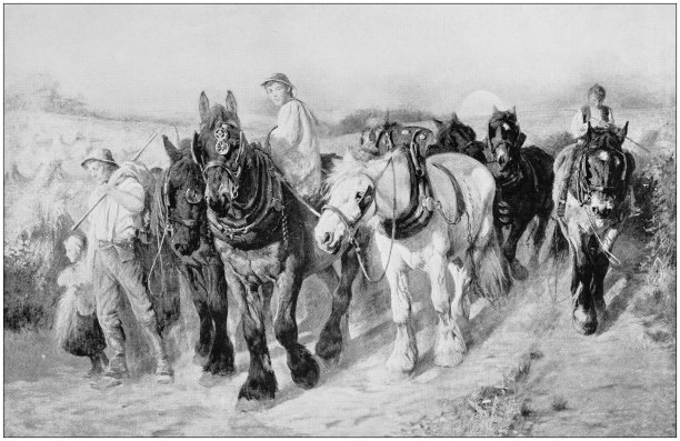 古色古香的绘画照片:农民图片下载