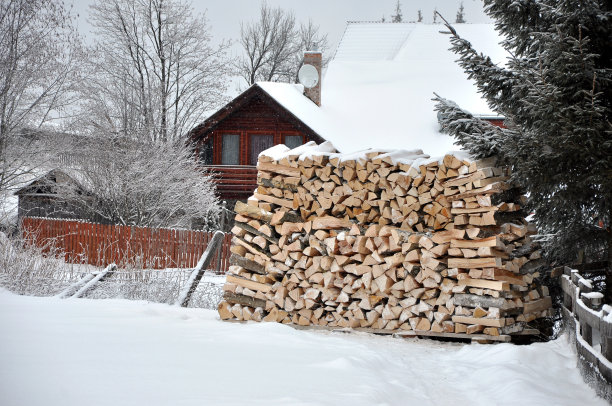 一堆砍过的柴火图片下载
