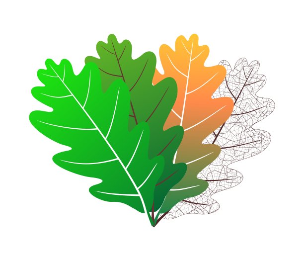 季节树叶图片下载