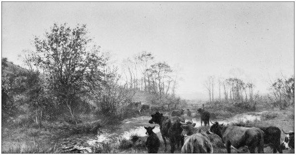 古董绘画照片:风景图片下载