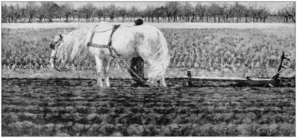 古董画照片:耕田图片下载