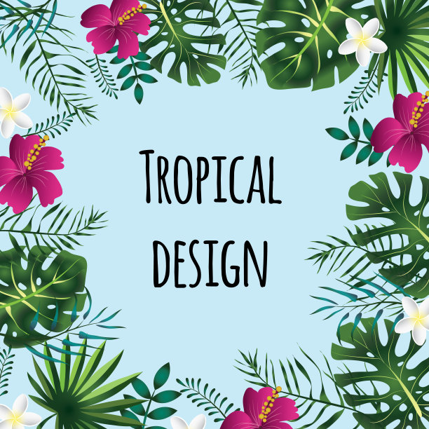 方形热带框架，模板与地方的文本。矢量插图,孤立。图片下载