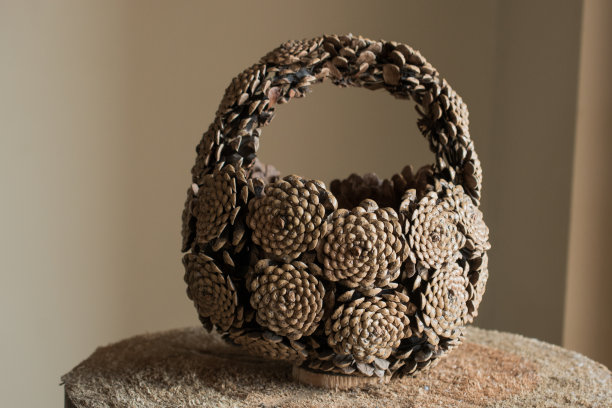 用松果做成的篮子，放在圆木上图片下载