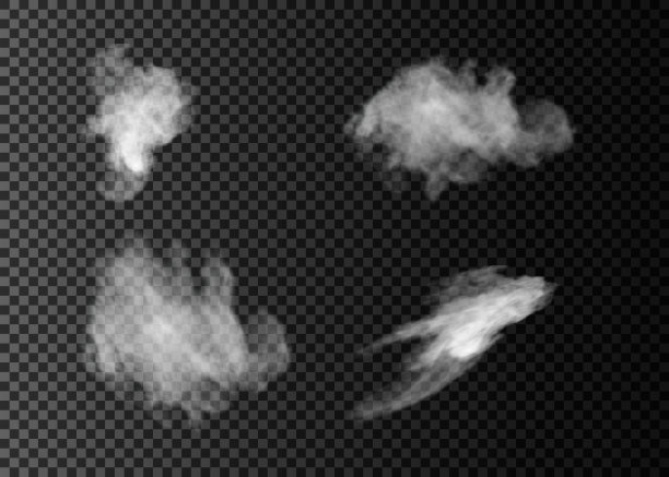 雾或烟隔离透明特效。白色矢量云，雾或烟雾背景。矢量图图片下载