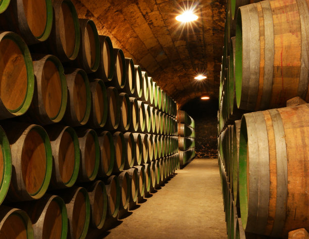 里奥哈葡萄酒之乡图片下载