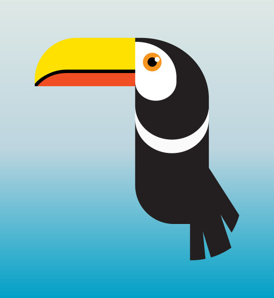 巨嘴鸟鸟图片下载