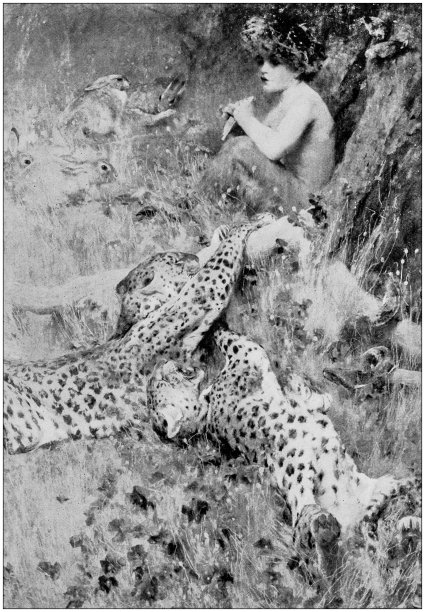 古画照片:潘的笛子图片下载