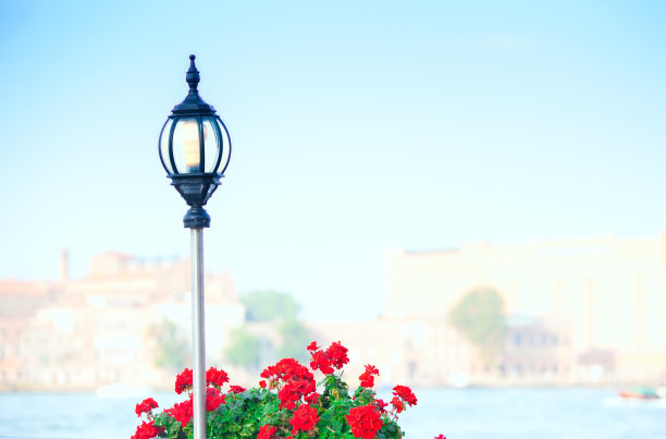 红色天竺葵和路灯与晨雾，威尼斯大运河素材图片