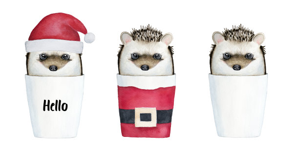 动物插画素材ID：300492672