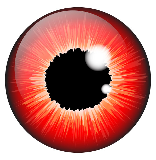 眼睛矢量图素材ID：300492732