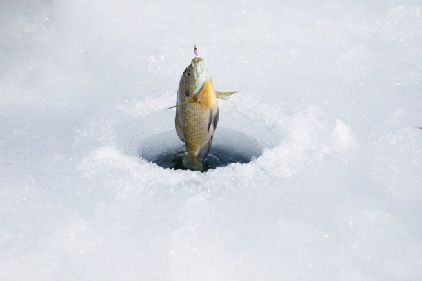 鱼钩，冰钓鱼洞图片下载