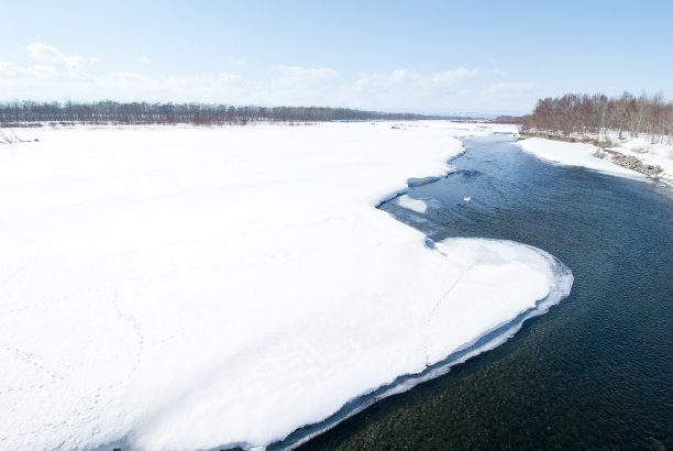 冬季，日本北海道东部十胜河边的动物足迹图片下载