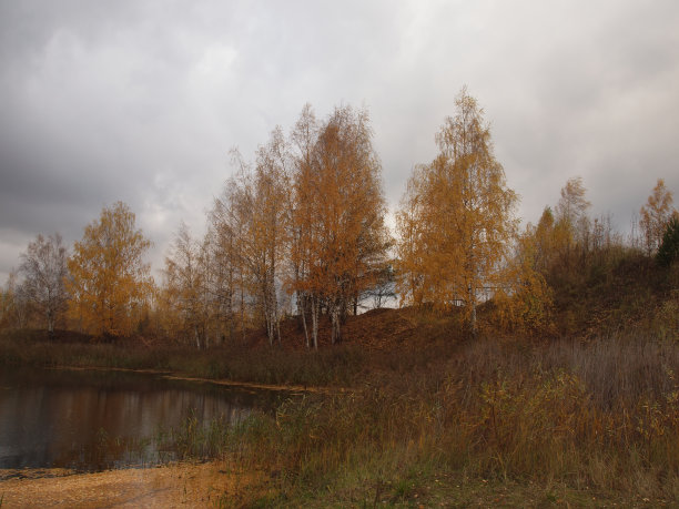 秋天，森林湖边的树木映衬着暴风雨的天空。秋天的风景。俄罗斯。莫斯科地区。图片下载