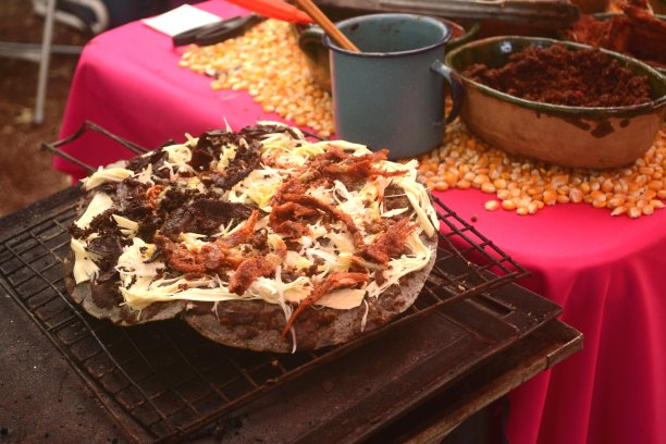 瓦哈卡图片素材ID：300518982