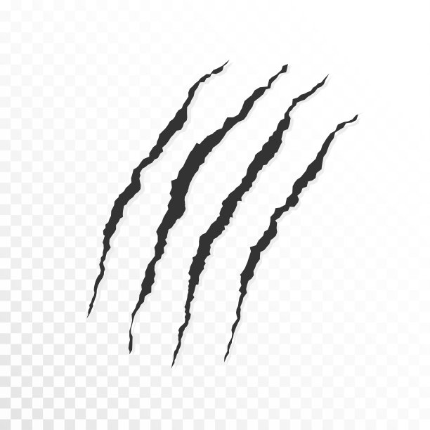 爪抓透明的背景图片下载