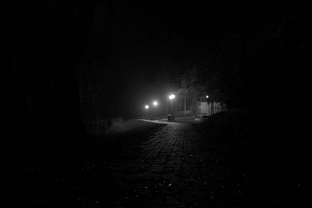 浪漫的夜晚图片下载