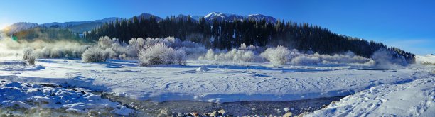 冬季美景尽收眼底图片下载