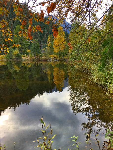 秋天的颜色图片下载