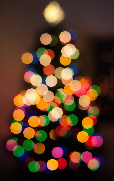 充满活力的圣诞树圈灯失去焦点图片下载