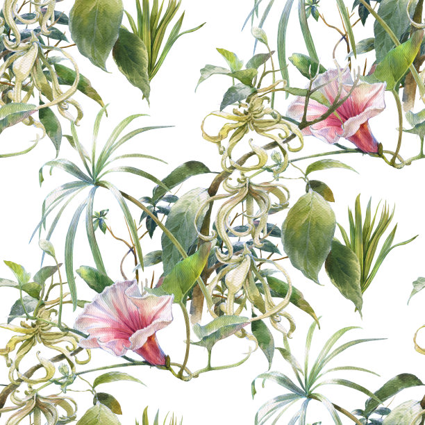 叶和花的水彩画，在白色的背景上无缝的图案素材图片