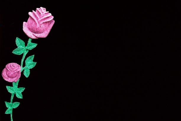 在空白的黑色背景上模仿粉红玫瑰图片下载