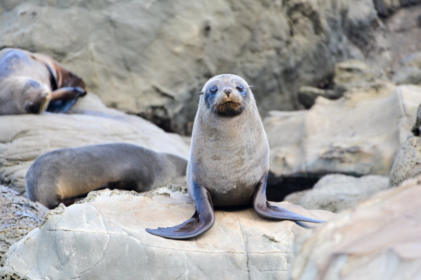 密封摇滚素材图片