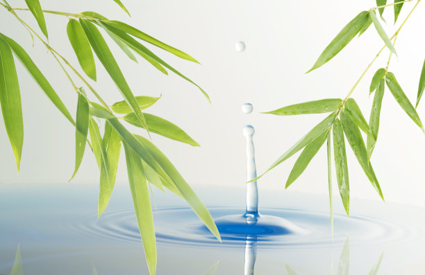 竹叶和水滴。图片下载