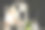 办公图片素材ID：300557904