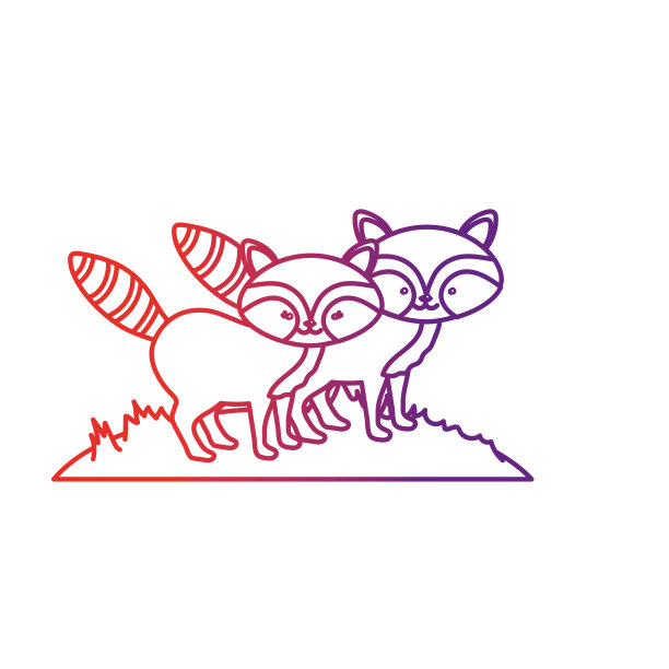 线可爱的浣熊动物情侣在一起图片下载