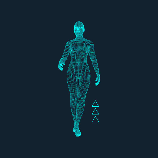 行走的人：3D人体模型矢量图素材图片