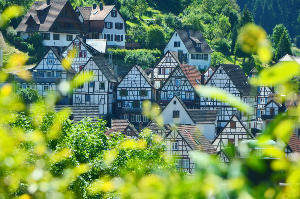 Schiltach旧镇图片下载