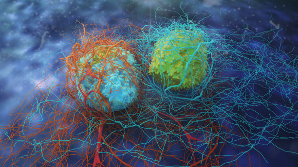 癌细胞的分裂素材图片