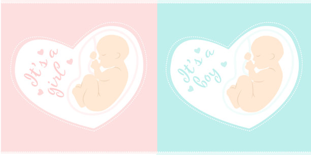 孕妇矢量插图。是一个女孩。它是一个男孩。图片下载