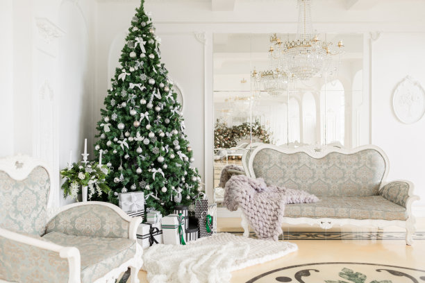 圣诞节的早晨。经典的公寓有白色的壁炉，装饰过的树，明亮的沙发，大窗户图片下载