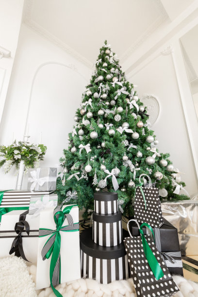 圣诞节的早晨。经典的公寓有白色的壁炉，装饰过的树，明亮的沙发，大窗户图片下载