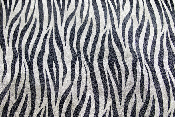 斑马图案素材图片