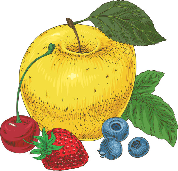 水果及浆果成分图片下载