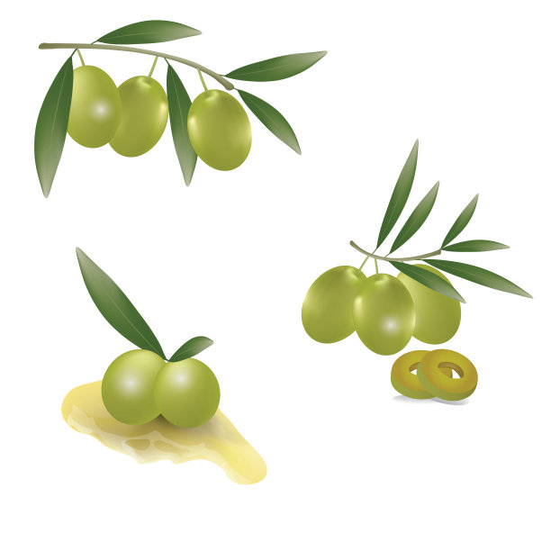 一组绿色橄榄在白色的背景图片下载