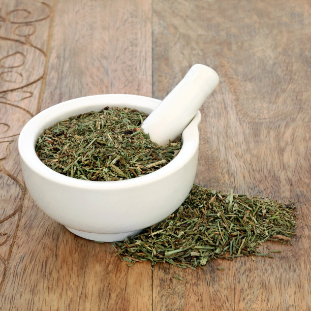 马尾叶草图片下载