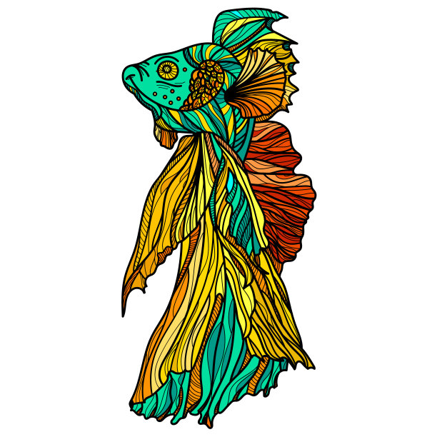 白色背景上的金鱼。图片下载