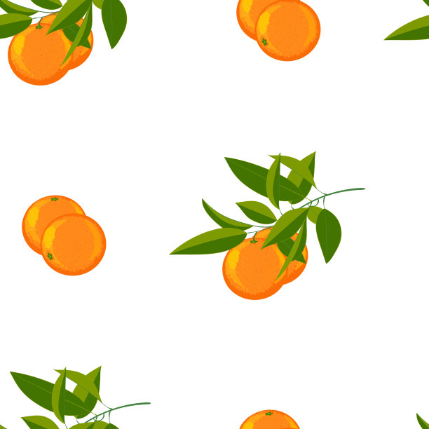 矢量图的新鲜橙子，水果与绿色的叶子在白色的背景。无缝模式与剪切蒙版，EPS10。图片下载